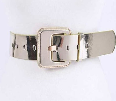 8289 Metallic Belts