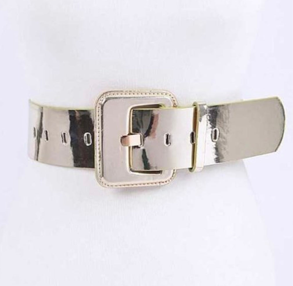 8289 Metallic Belts
