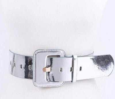 8289 Metallic Belts